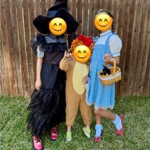 Cozy Lion Costume for Kids 3T for 3-4 years